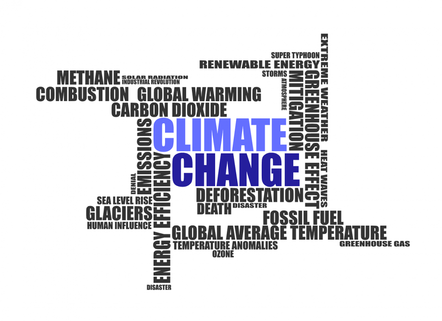 A Climate Change Word Collage: A Testimony to its Universality 